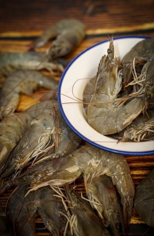 กุ้งขาวสด ส่งทั่วประเทศ