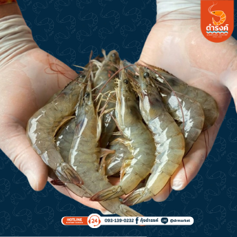 กุ้งขาวสด ไซส์ 40-45ตัว/กก