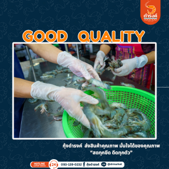 กุ้งสดคัดพิเศษ
