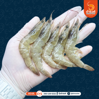 กุ้งขาวไซส์เล็ก